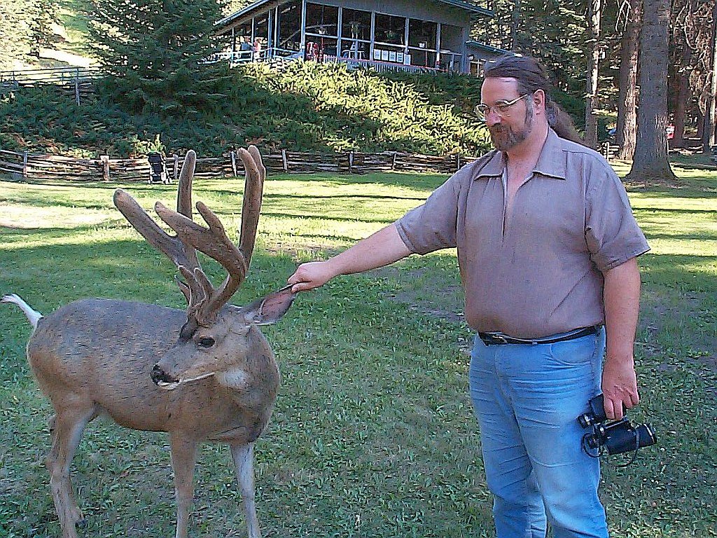 Wallowa Falls waterfall