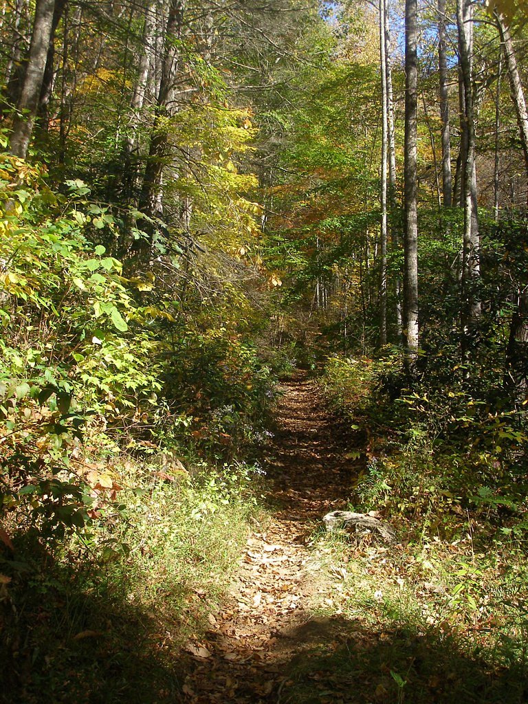 Walker Falls waterfall
