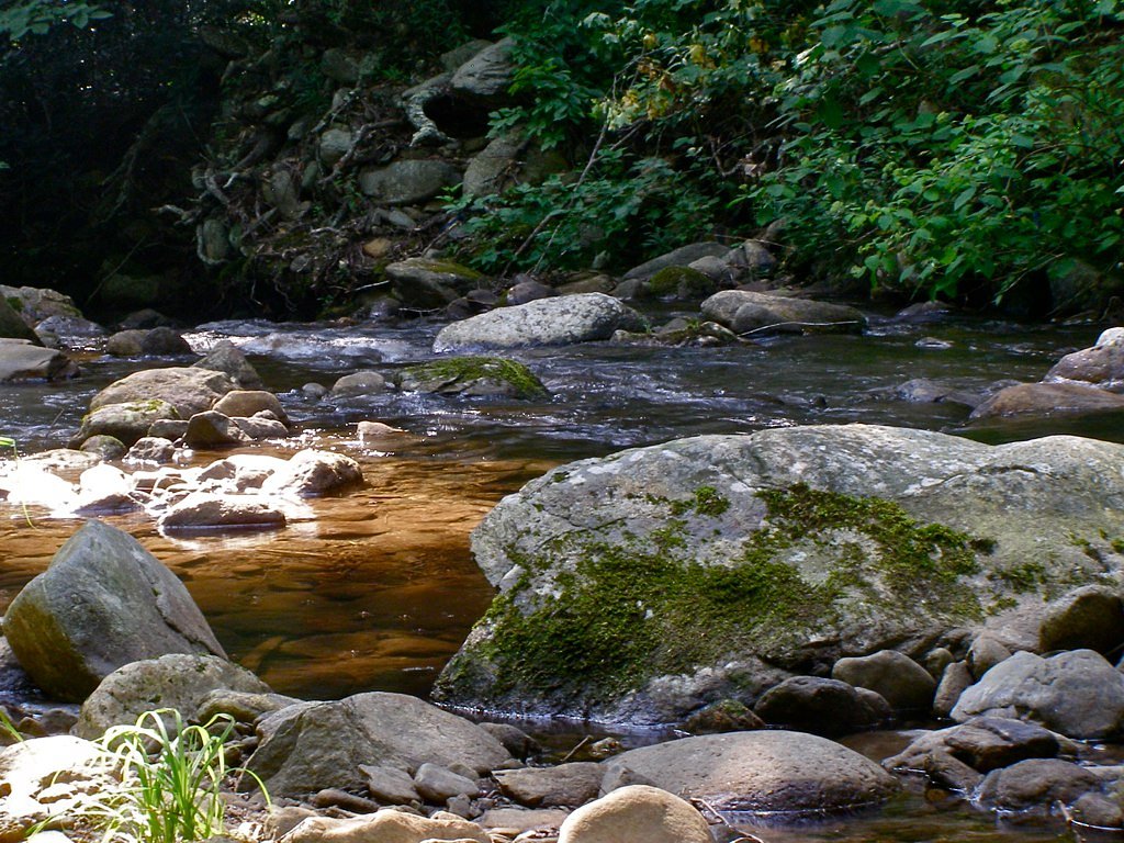 Walker Falls waterfall