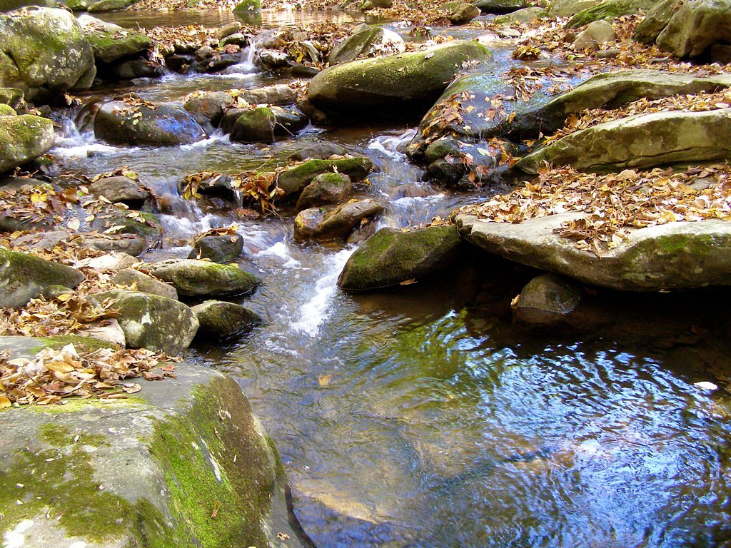 Walker Falls waterfall