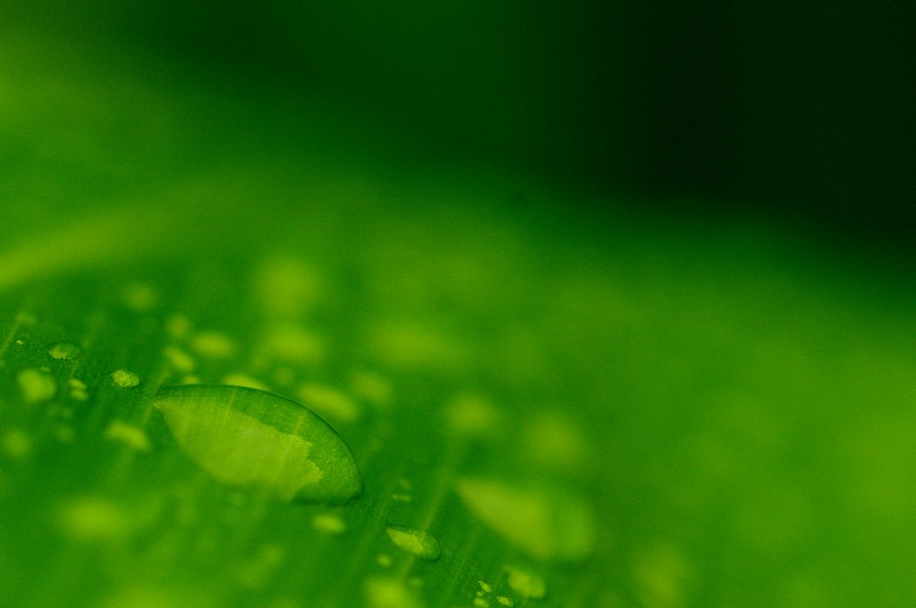 Waiānuenue Falls waterfall