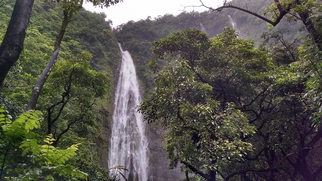 Waimoku Falls waterfall