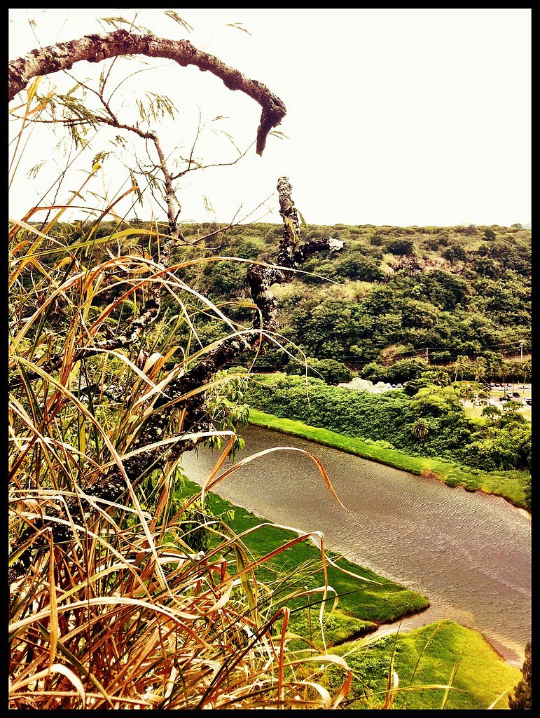 Waimea Falls waterfall