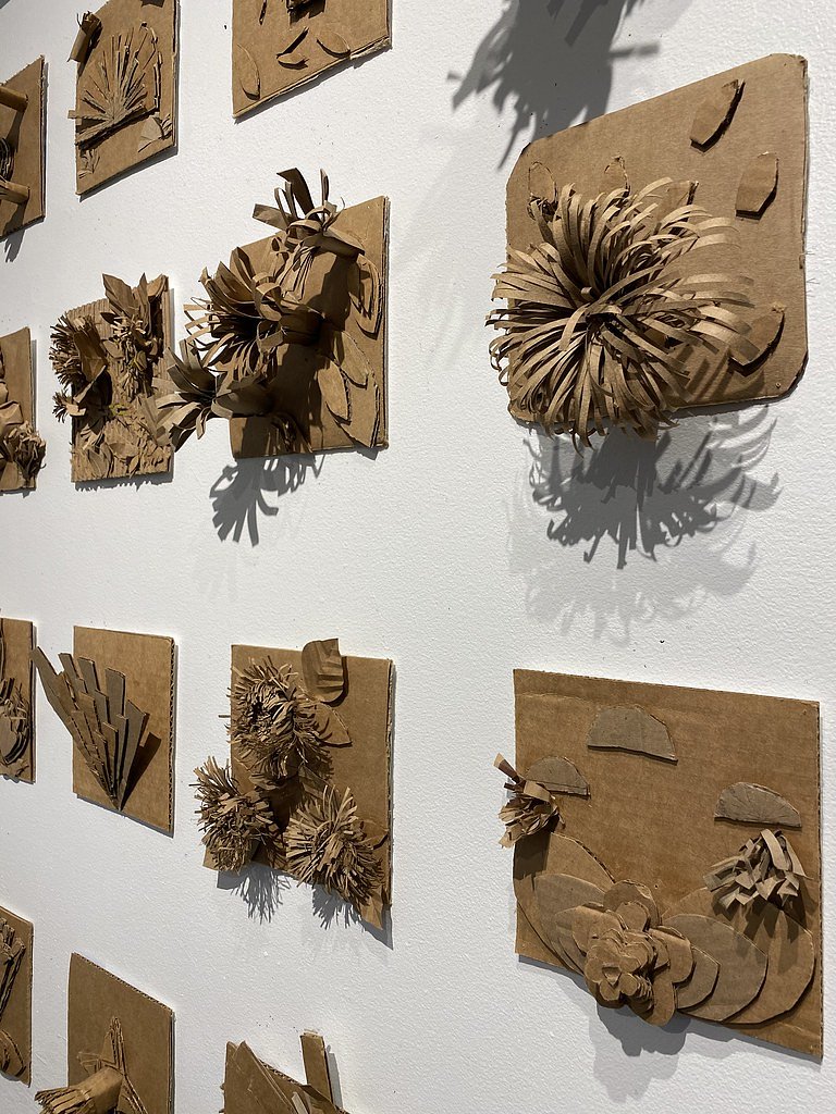 Wailoa Falls waterfall