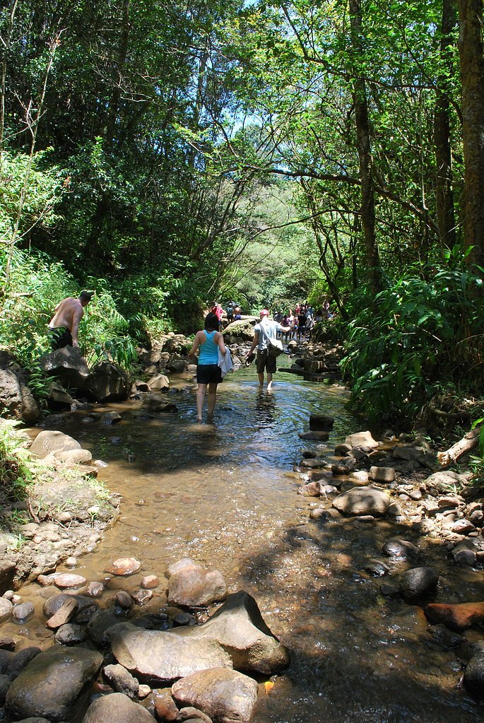 Wailele Falls waterfall
