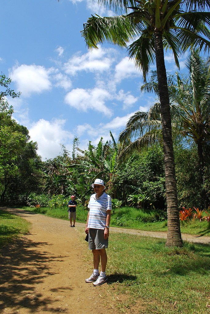 Wailele Falls waterfall
