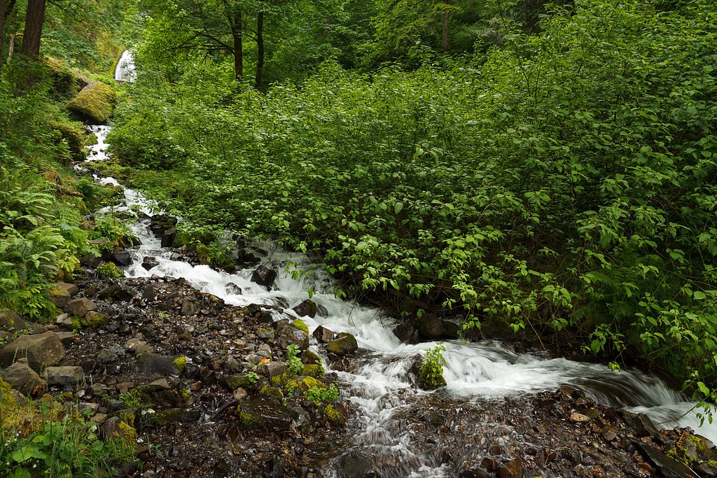 Wahkeena Falls waterfall