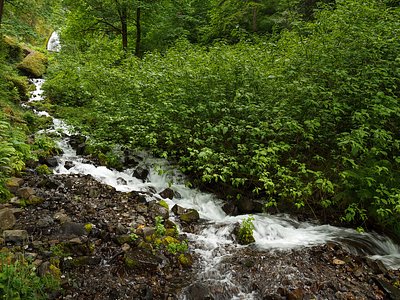 Wahkeena Falls