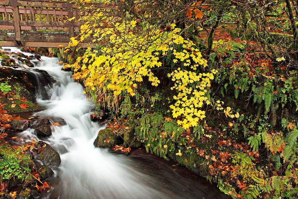 Wahkeena Falls waterfall