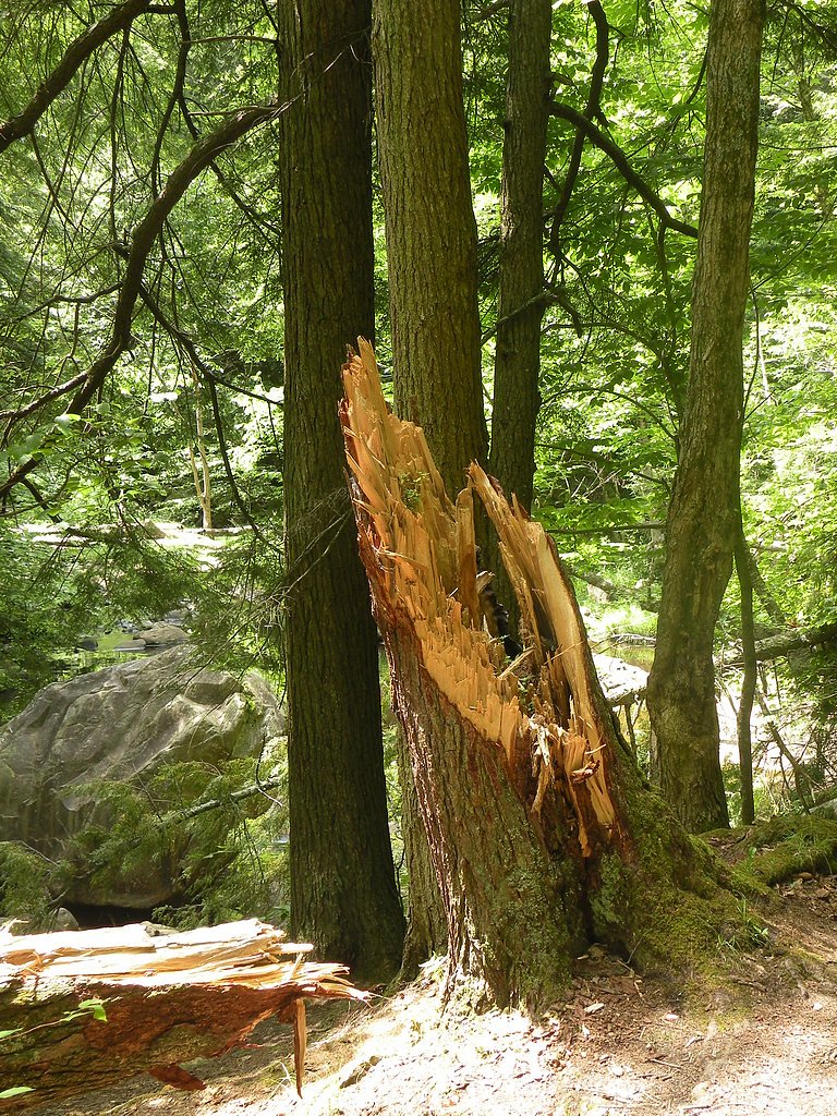 Wahconah Falls waterfall