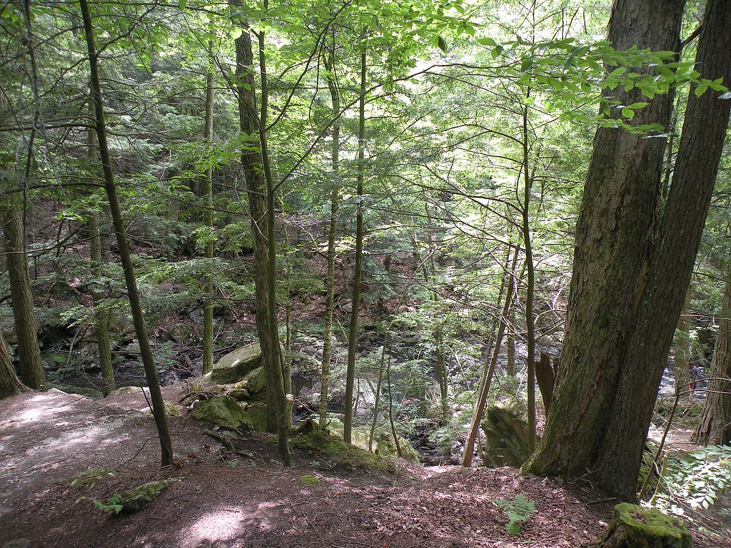 Wahconah Falls waterfall