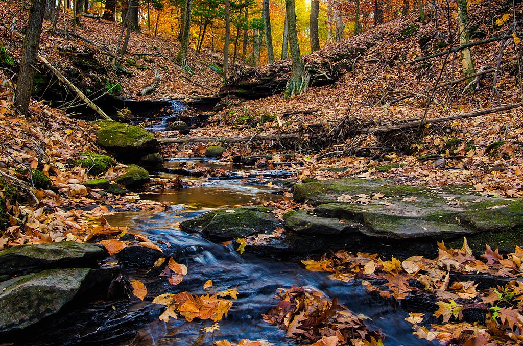 Wadsworth Falls waterfall