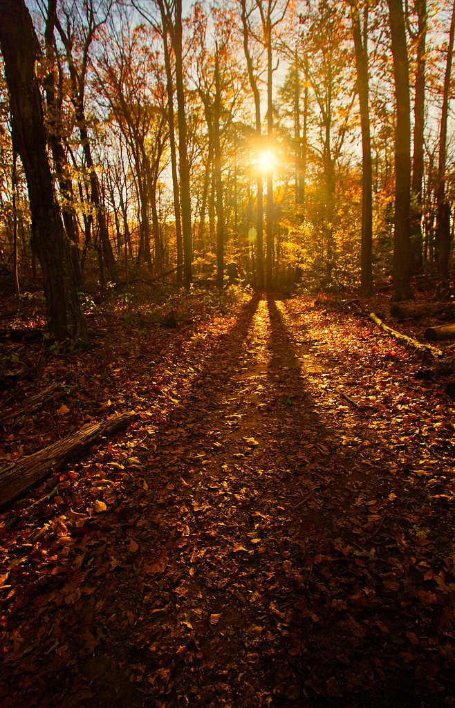Wadsworth Falls waterfall