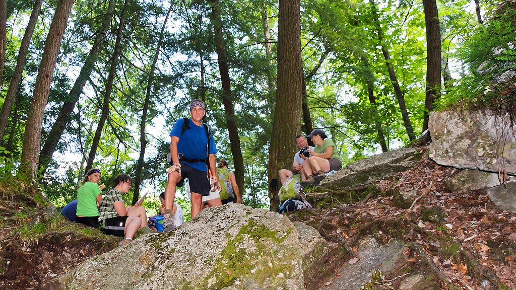 Virgin Falls waterfall