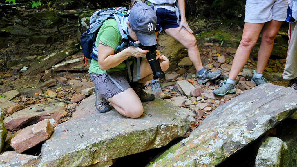 Virgin Falls waterfall