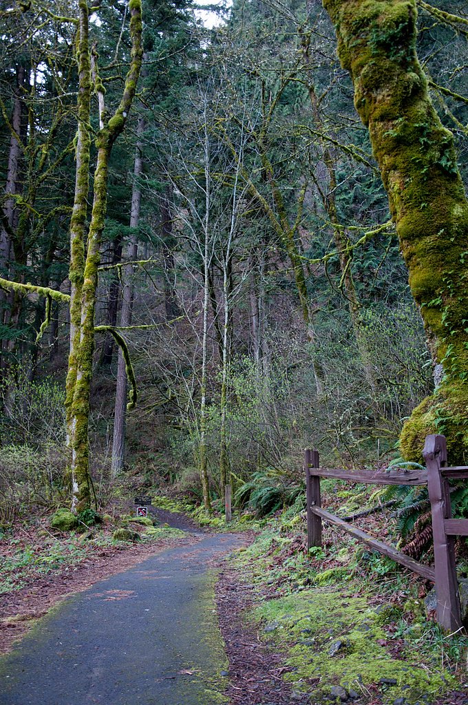 Vanishing Falls waterfall