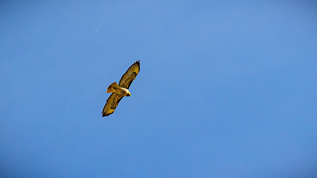 Upper Soda Falls waterfall