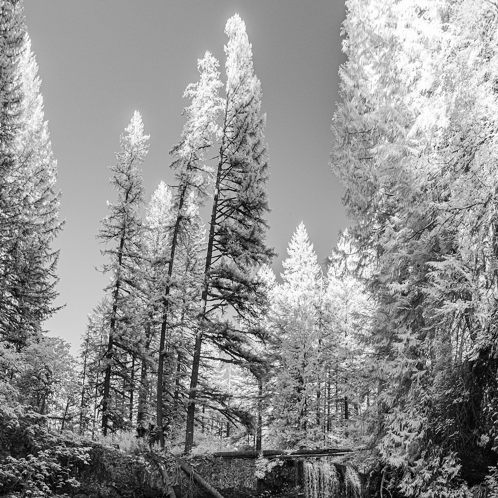 Upper North Falls waterfall