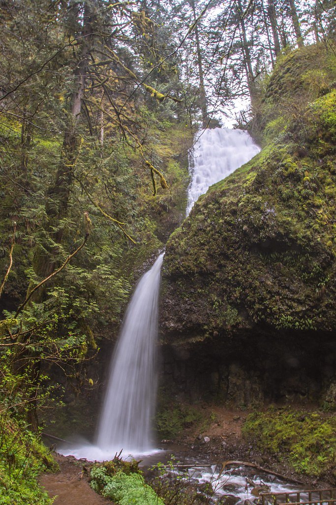 Upper Latourell Falls waterfall