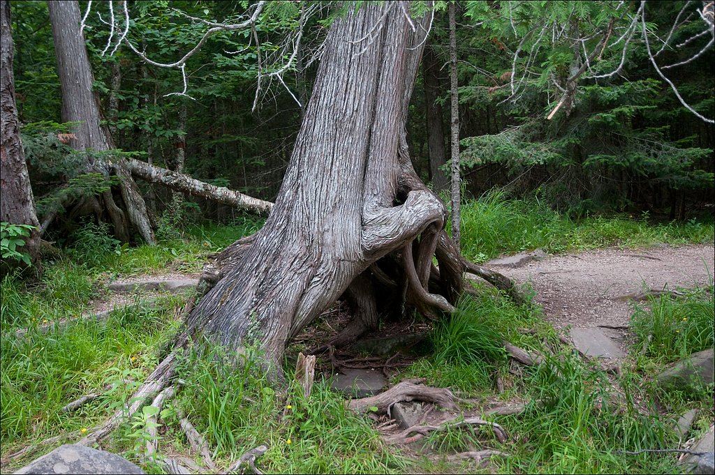 Upper Falls waterfall