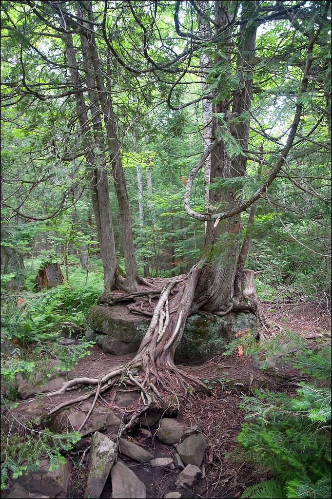 Upper Falls waterfall