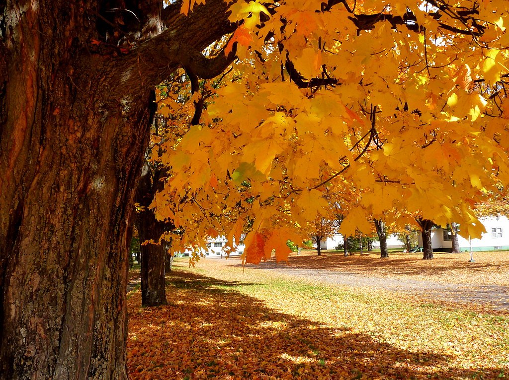 Upper Falls waterfall