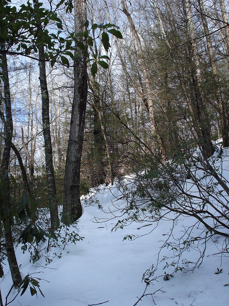 Upper Falls waterfall