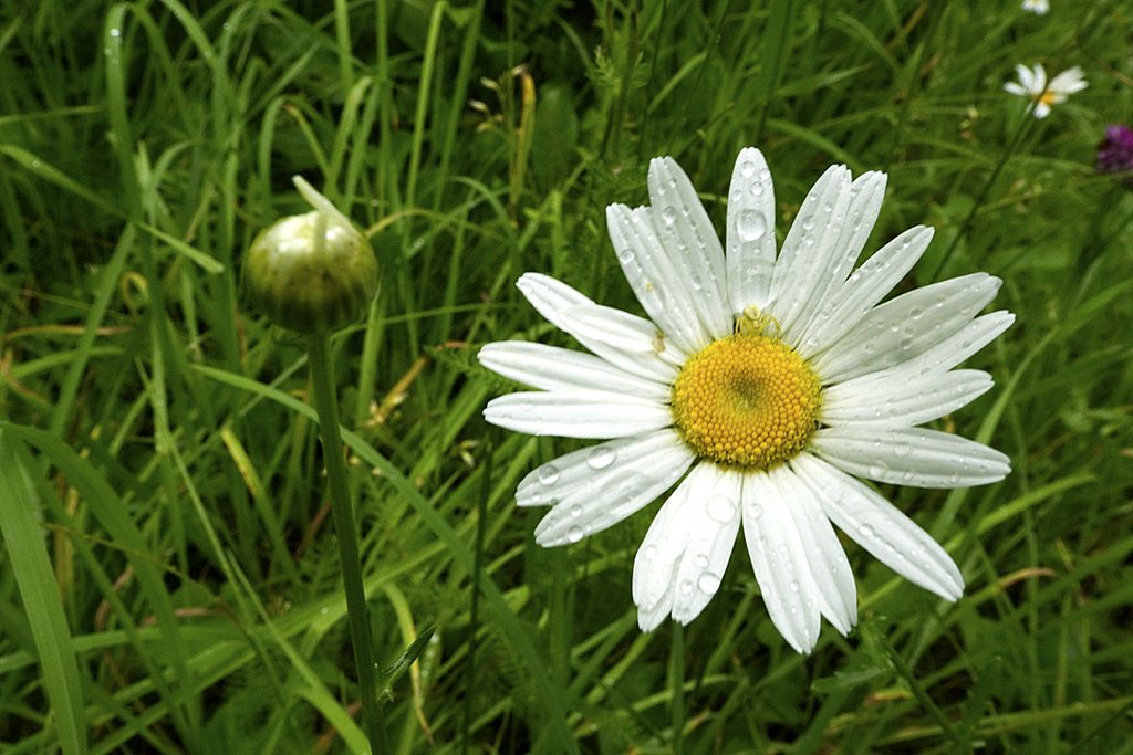 Upper Falls waterfall