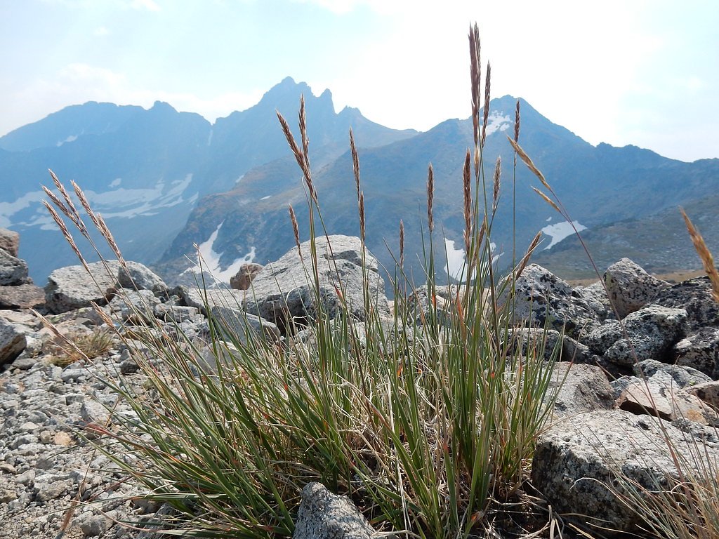 Upper Big Timber Falls waterfall