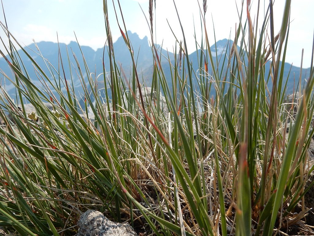 Upper Big Timber Falls waterfall