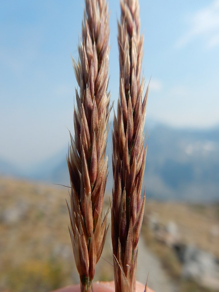Upper Big Timber Falls waterfall