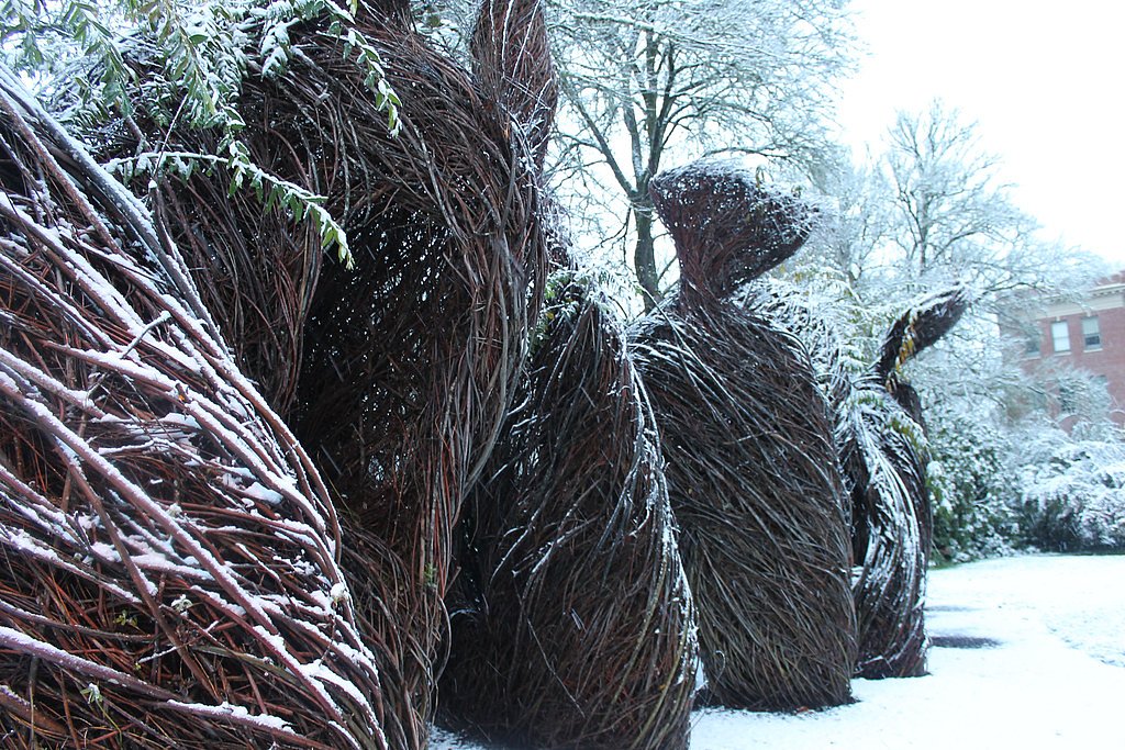 University Falls waterfall