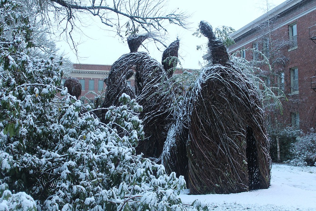 University Falls waterfall