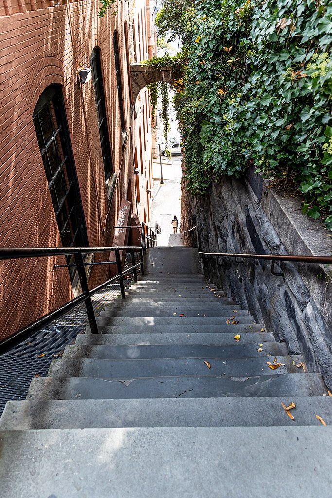 Union Falls waterfall