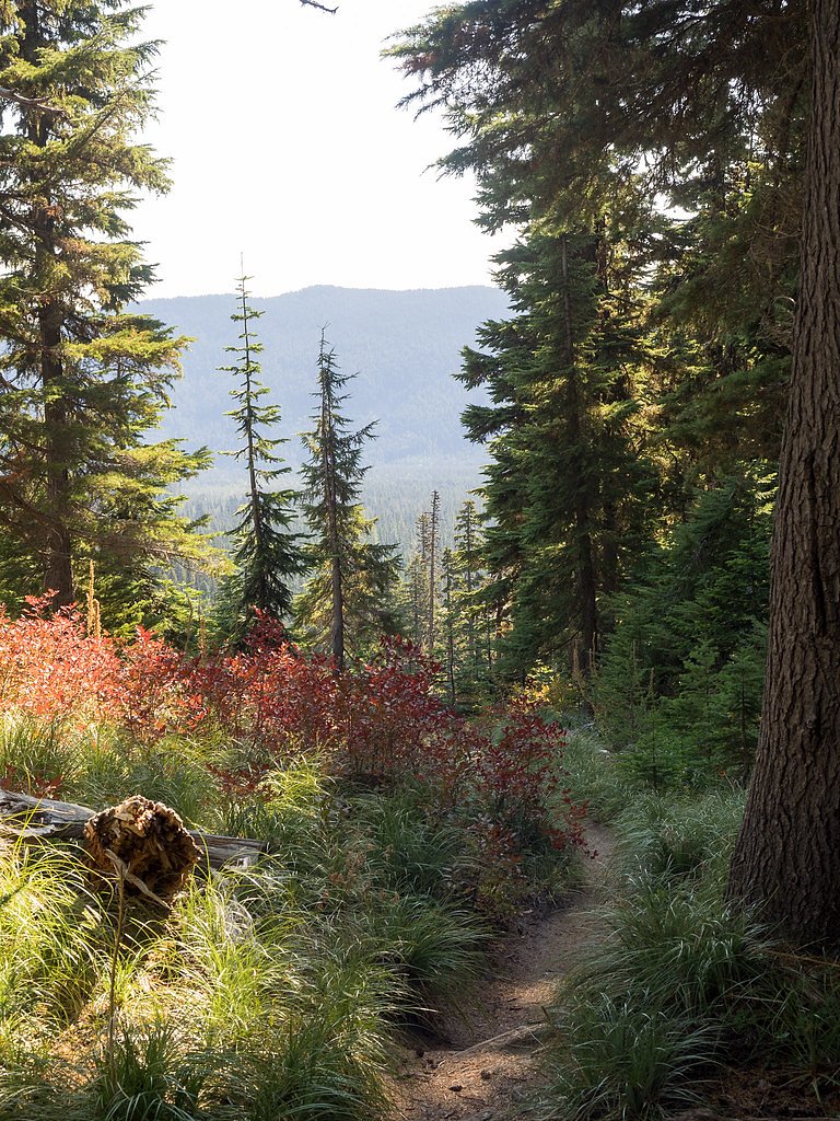 Umbrella Falls waterfall