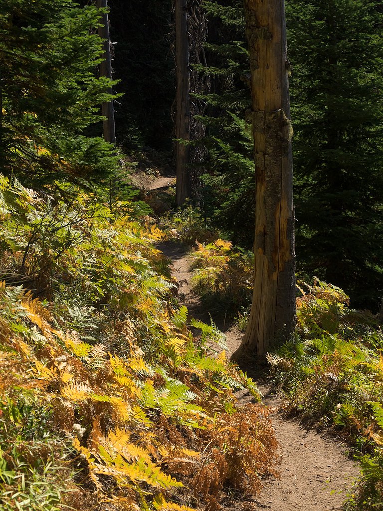 Umbrella Falls waterfall