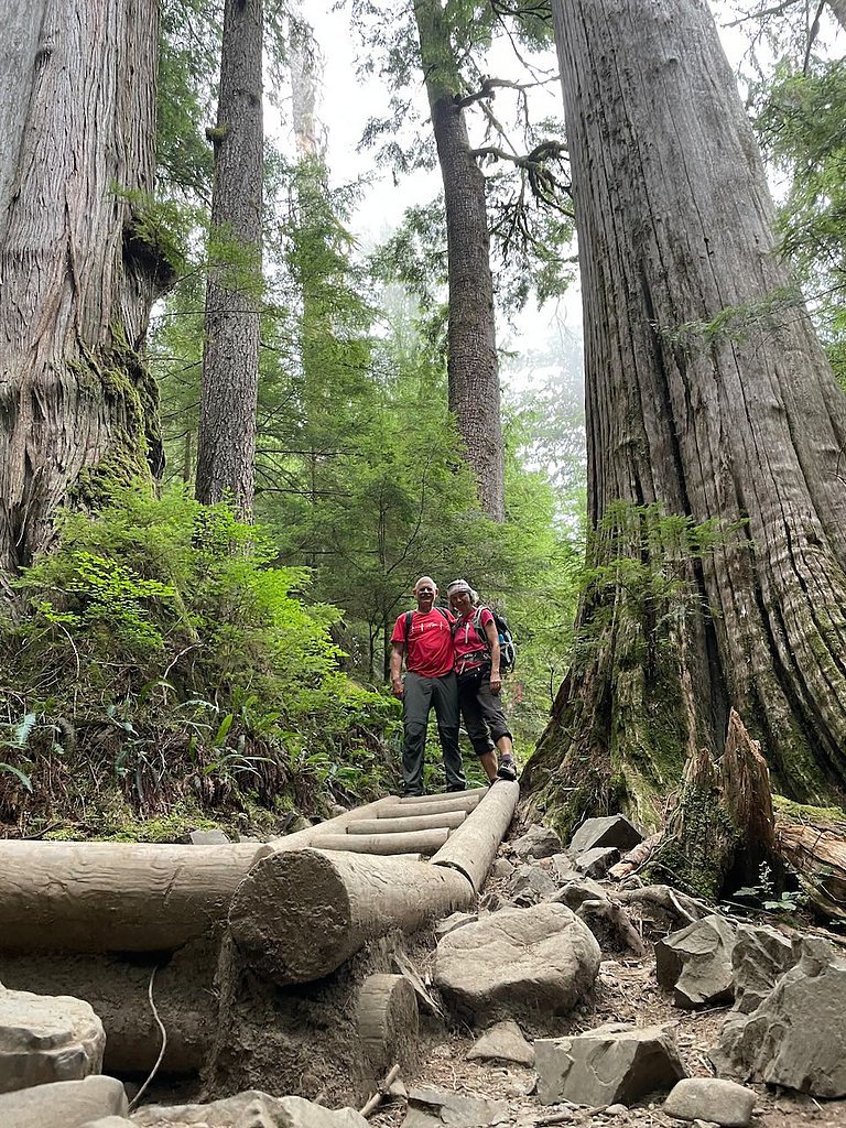 Twin Falls waterfall