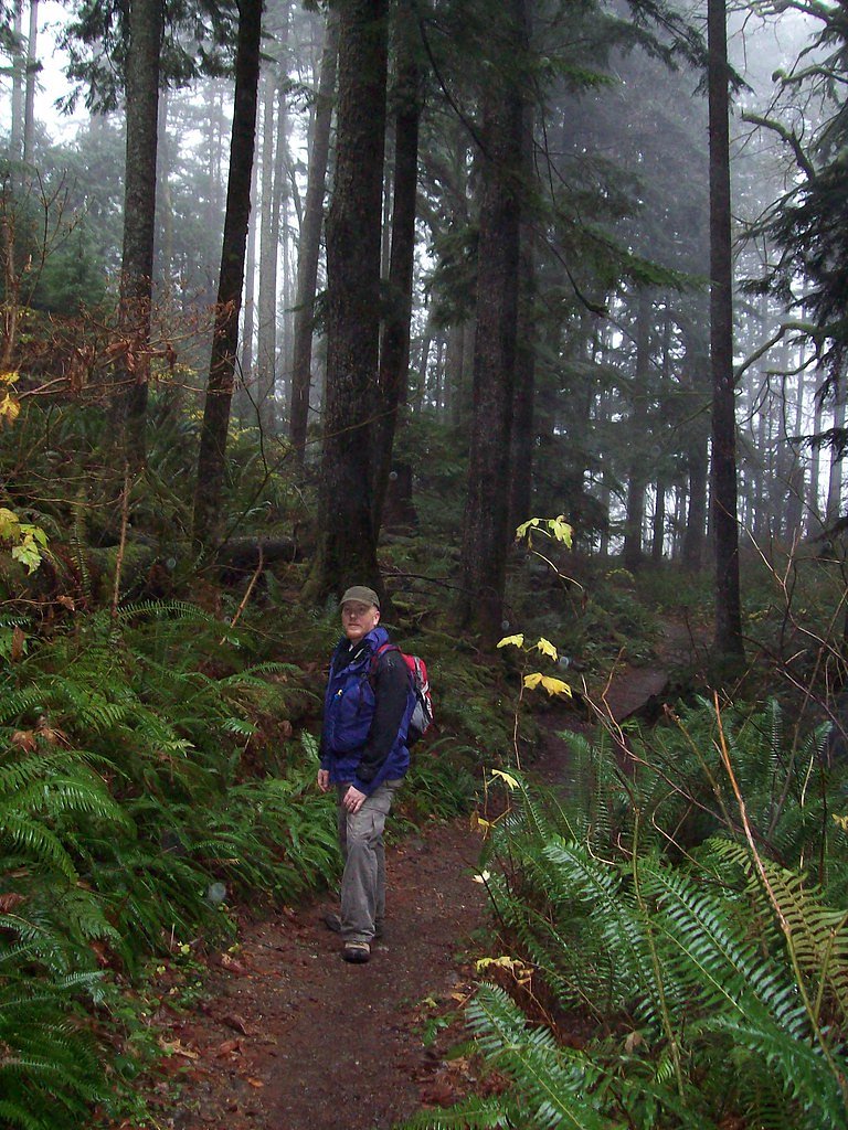 Twin Falls waterfall