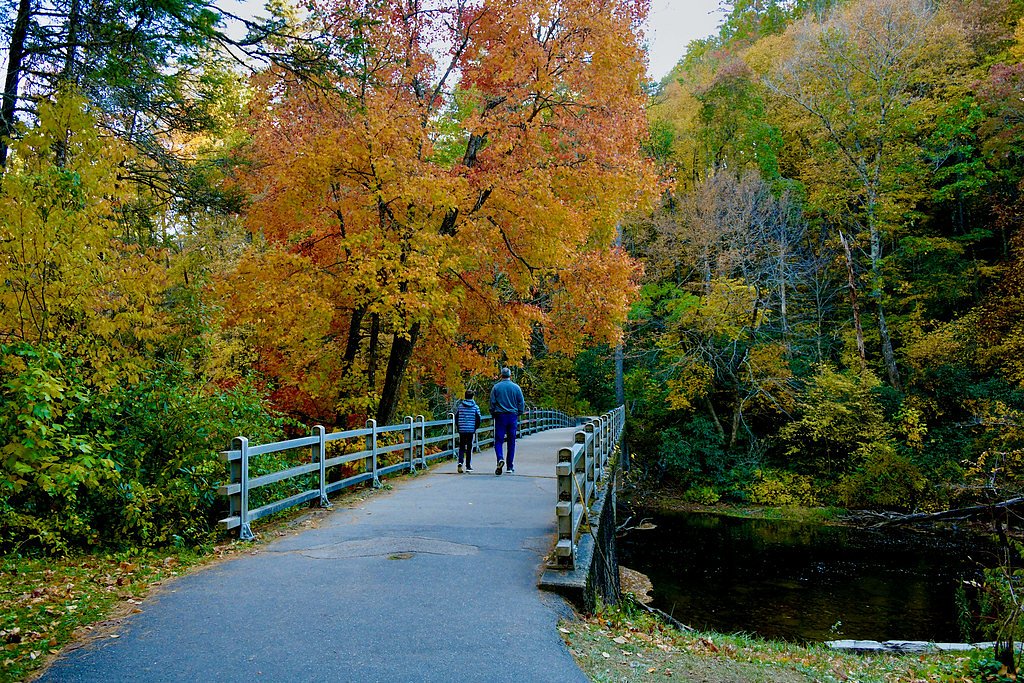 Twin Falls waterfall