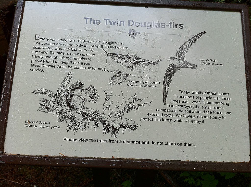 Twin Falls waterfall