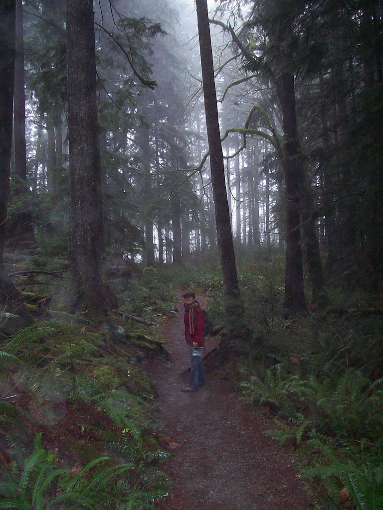 Twin Falls waterfall