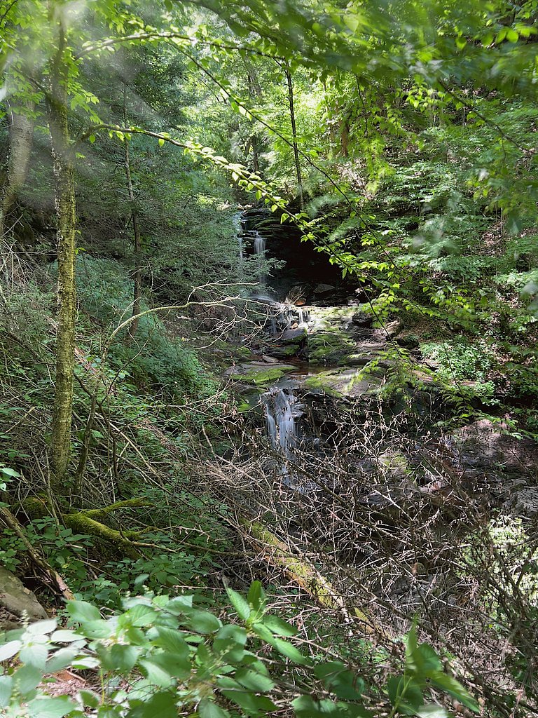 Tuscarora Falls waterfall