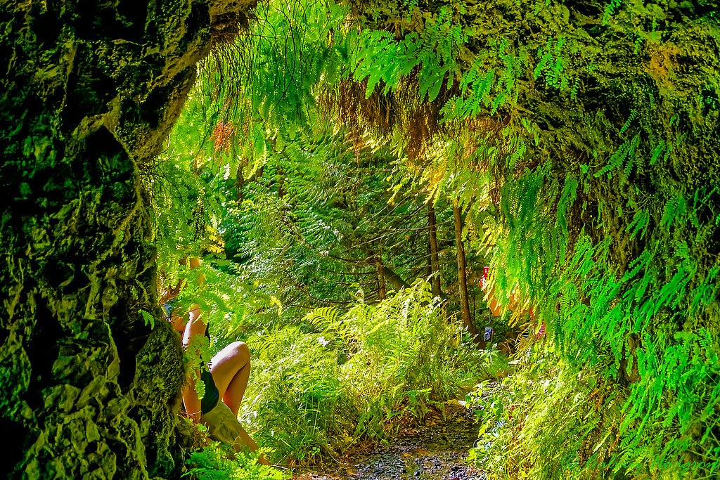 Tunnel Falls waterfall