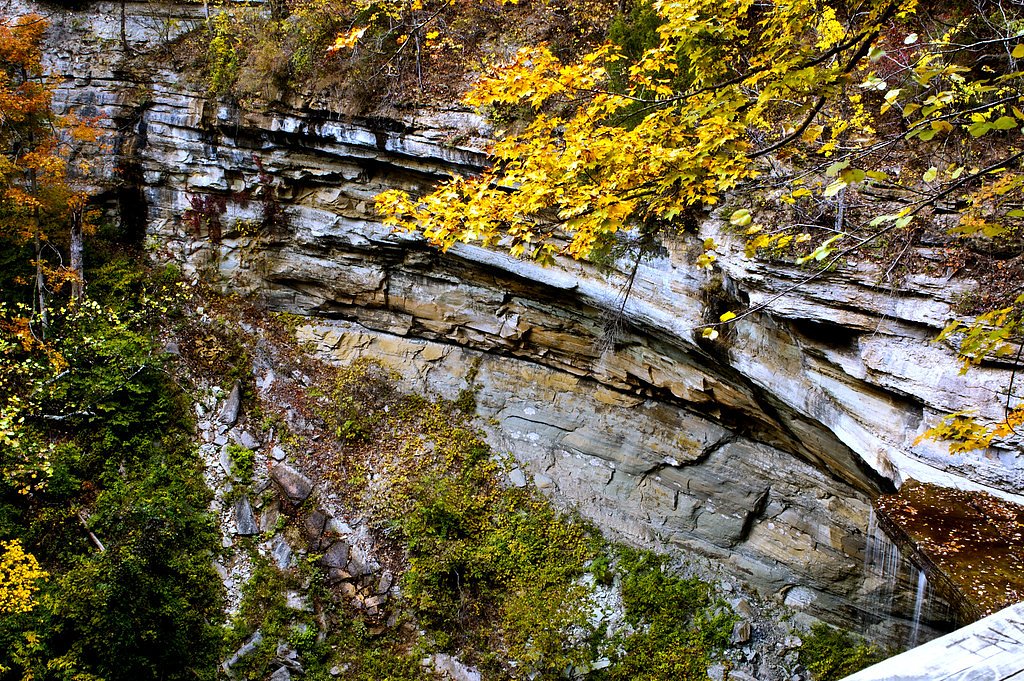 Tunnel Falls waterfall
