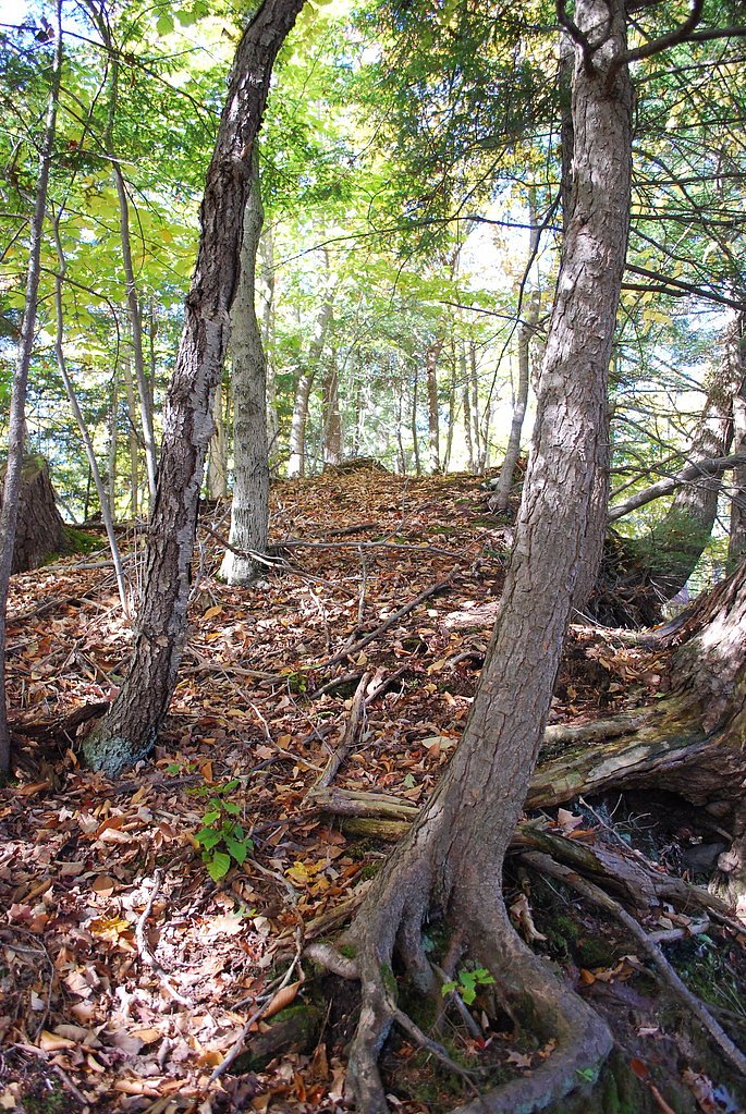 Trenton Falls waterfall