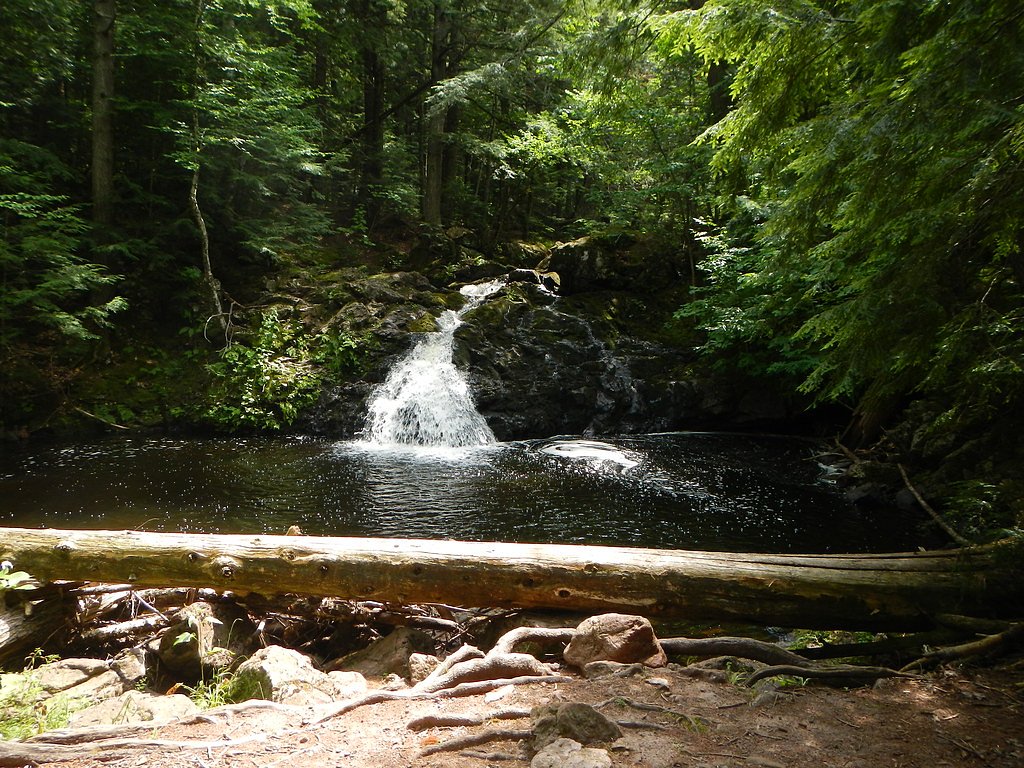 Trap Falls waterfall