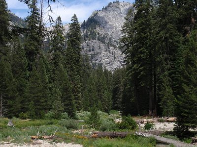 Tokopah Falls