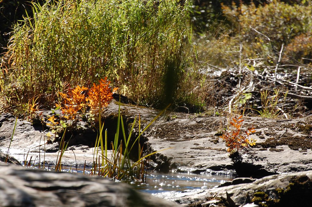 Tioga Falls waterfall