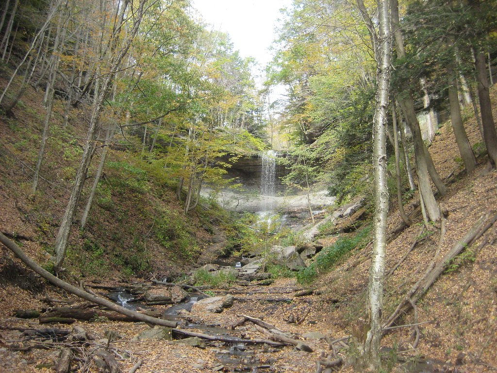 Tinker Falls waterfall