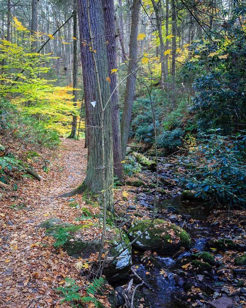 Tillman Falls waterfall